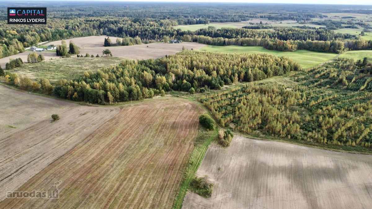 Parduodamas žemės 3,5 ha žemės ūkio - nuotraukos Nr. 7