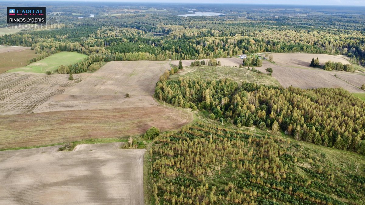 Parduodamas žemės 3,5 ha žemės ūkio - nuotraukos Nr. 8