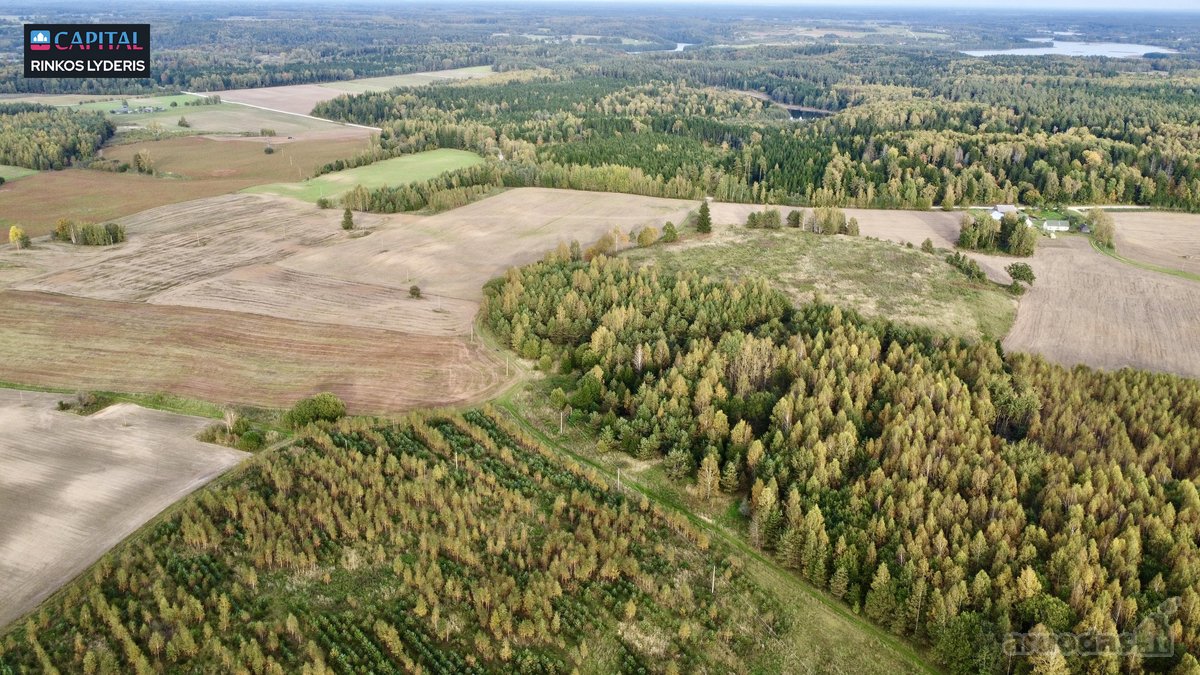Parduodamas žemės 3,5 ha žemės ūkio - nuotraukos Nr. 9
