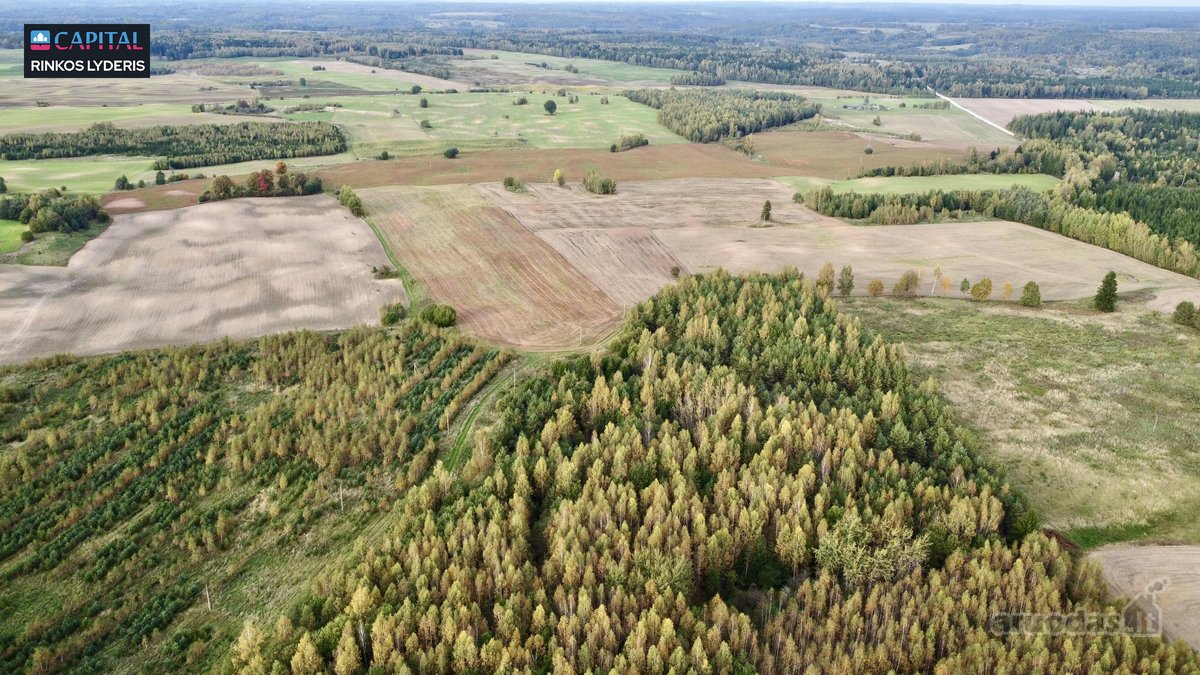 Parduodamas žemės 3,5 ha žemės ūkio - nuotraukos Nr. 3
