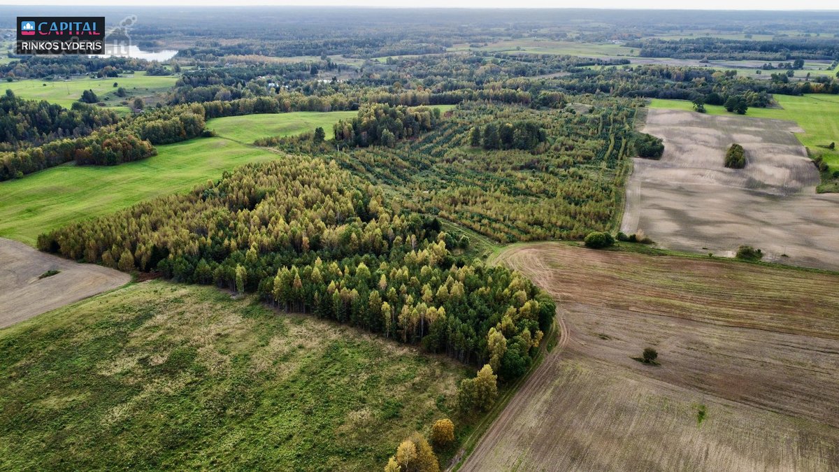 Parduodamas žemės 3,5 ha žemės ūkio - nuotraukos Nr. 4