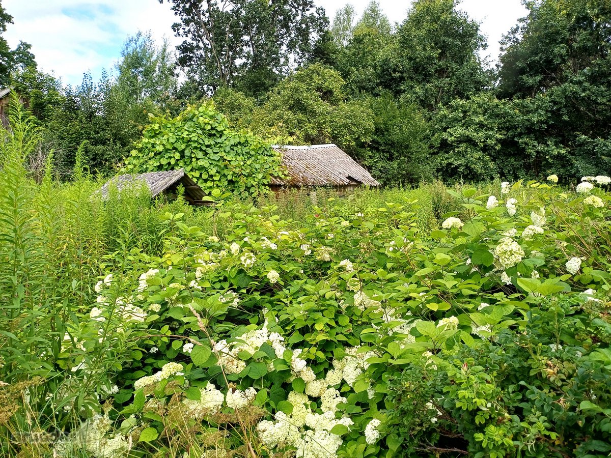 12/25 dalių gyvenamojo namo su žemės sklypo - nuotraukos Nr. 29
