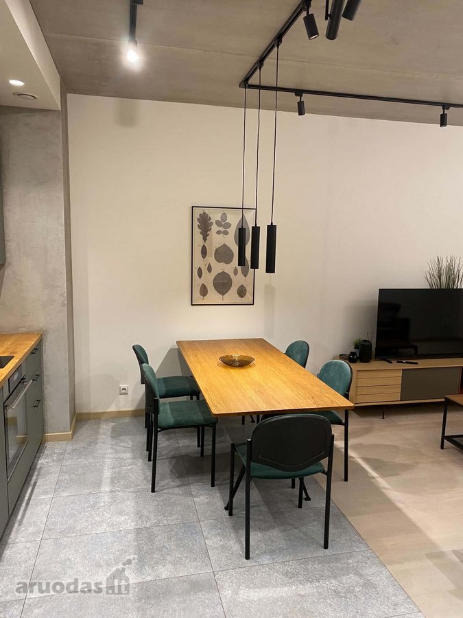 Nuomuojami Įrengti Apartamentai Unikaliame - nuotraukos Nr. 17