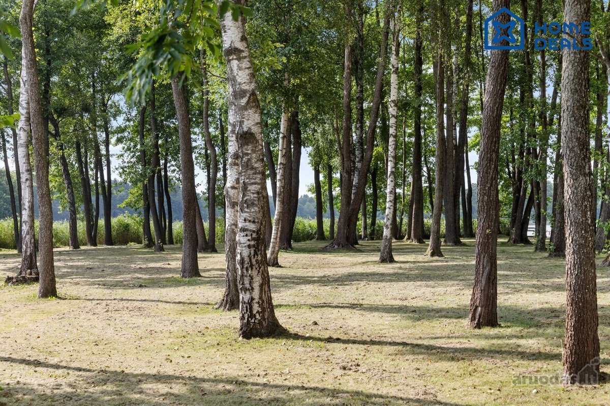 Čia kiekviena diena prasideda ežero ramybe, o - nuotraukos Nr. 60