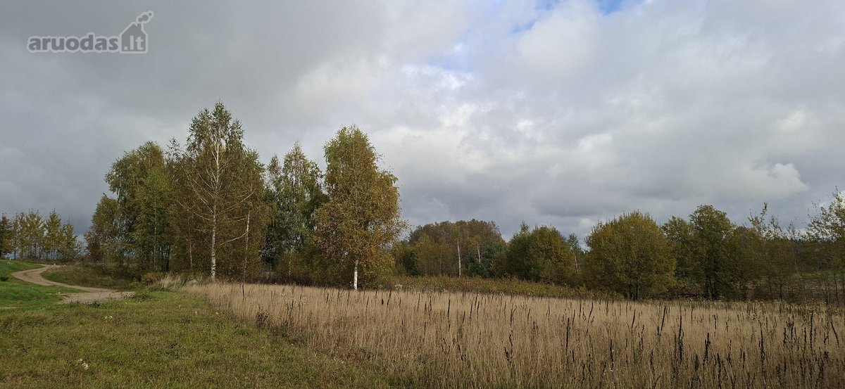 Parduodamas 20 arų namų valdos sklypas - nuotraukos Nr. 5