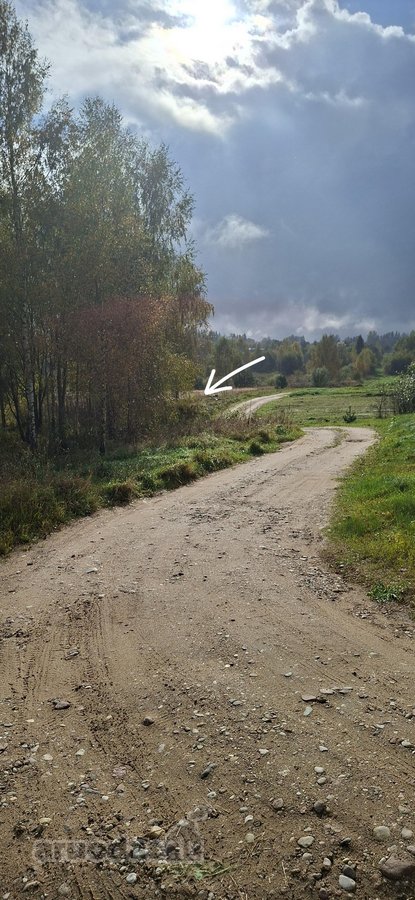Parduodamas 20 arų namų valdos sklypas - nuotraukos Nr. 4