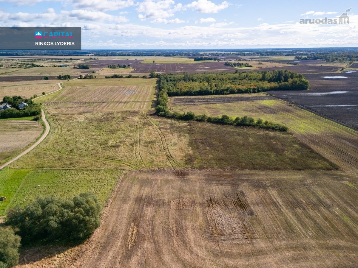30 Arų Namų Valdos Sklypai Lankučiuose – - nuotraukos Nr. 7