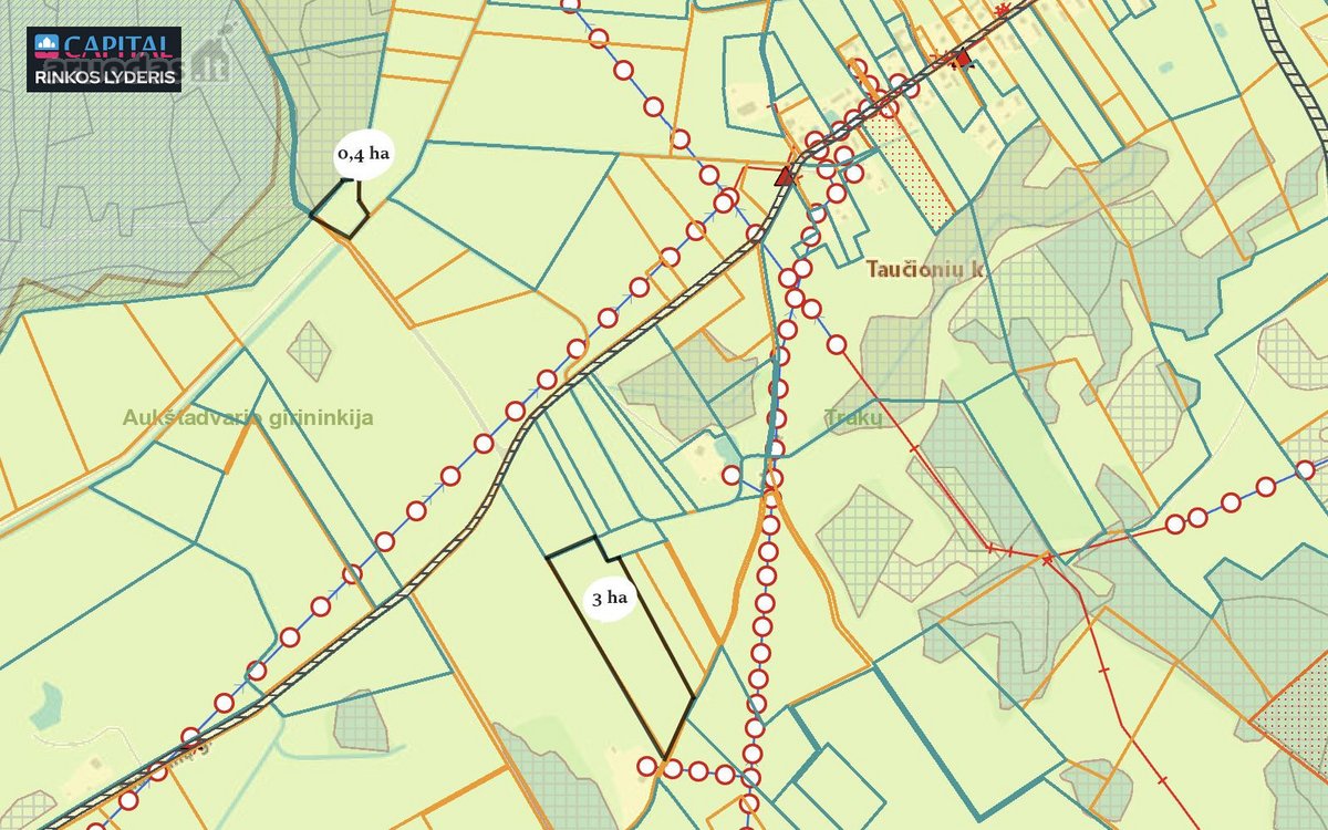 Trakų r. sav., Taučionių k. - nuotraukos Nr. 9