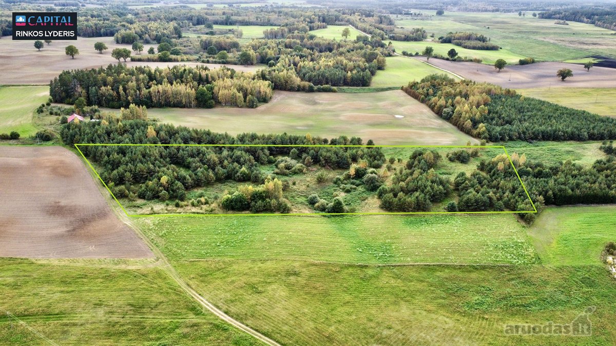 Trakų r. sav., Taučionių k. - nuotraukos Nr. 7