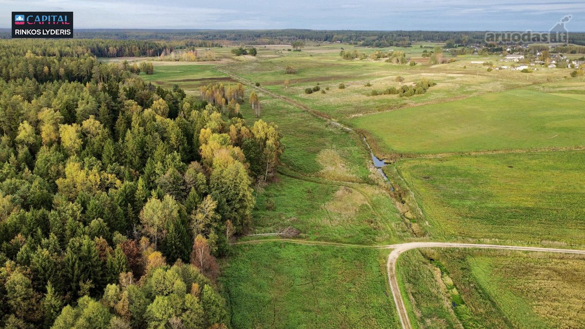 Parduodamas žemės 40 a žemės ūkio paskirties - nuotraukos Nr. 5