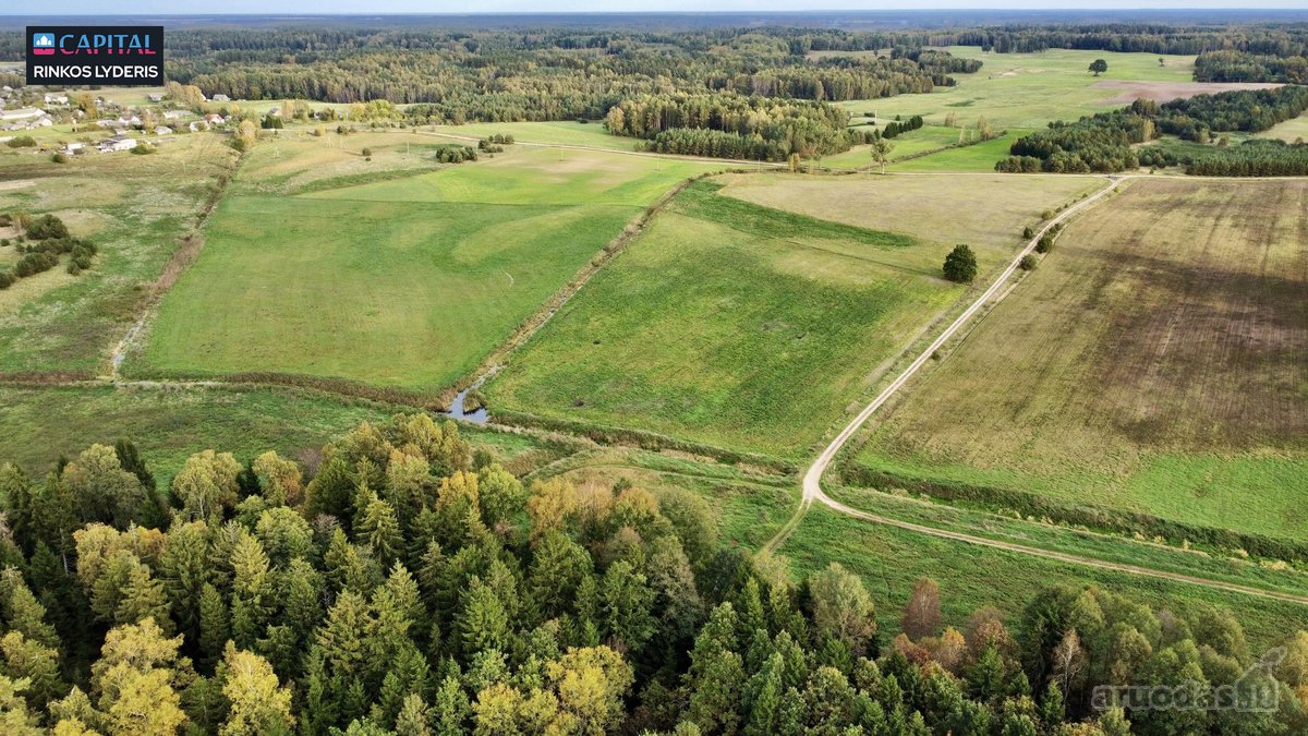 Parduodamas žemės 40 a žemės ūkio paskirties - nuotraukos Nr. 7