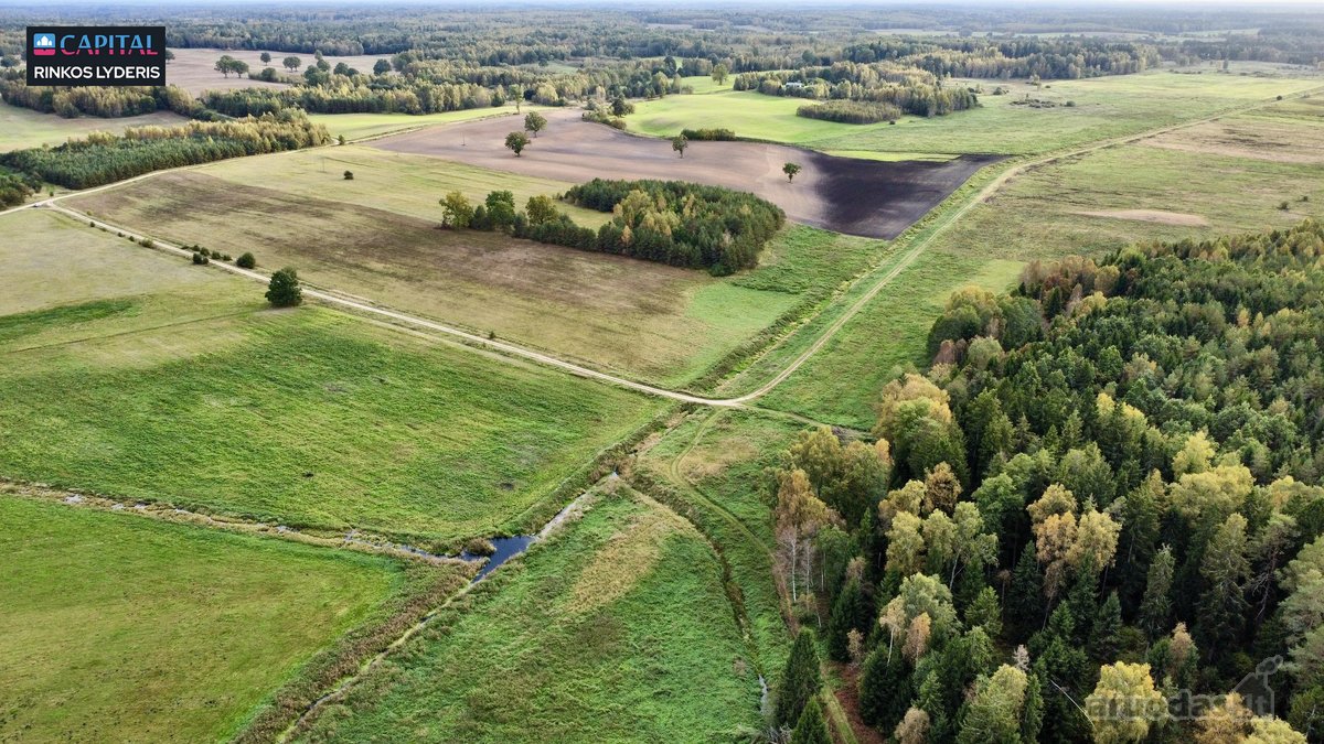 Parduodamas žemės 40 a žemės ūkio paskirties - nuotraukos Nr. 6
