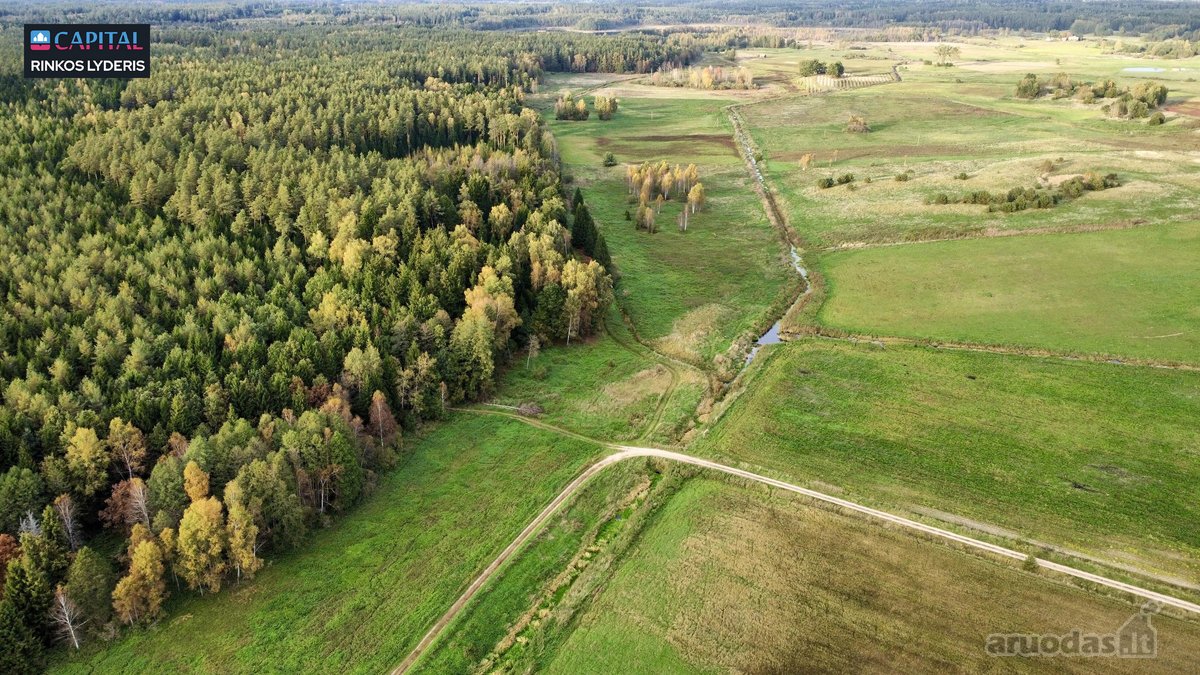 Parduodamas žemės 40 a žemės ūkio paskirties - nuotraukos Nr. 2