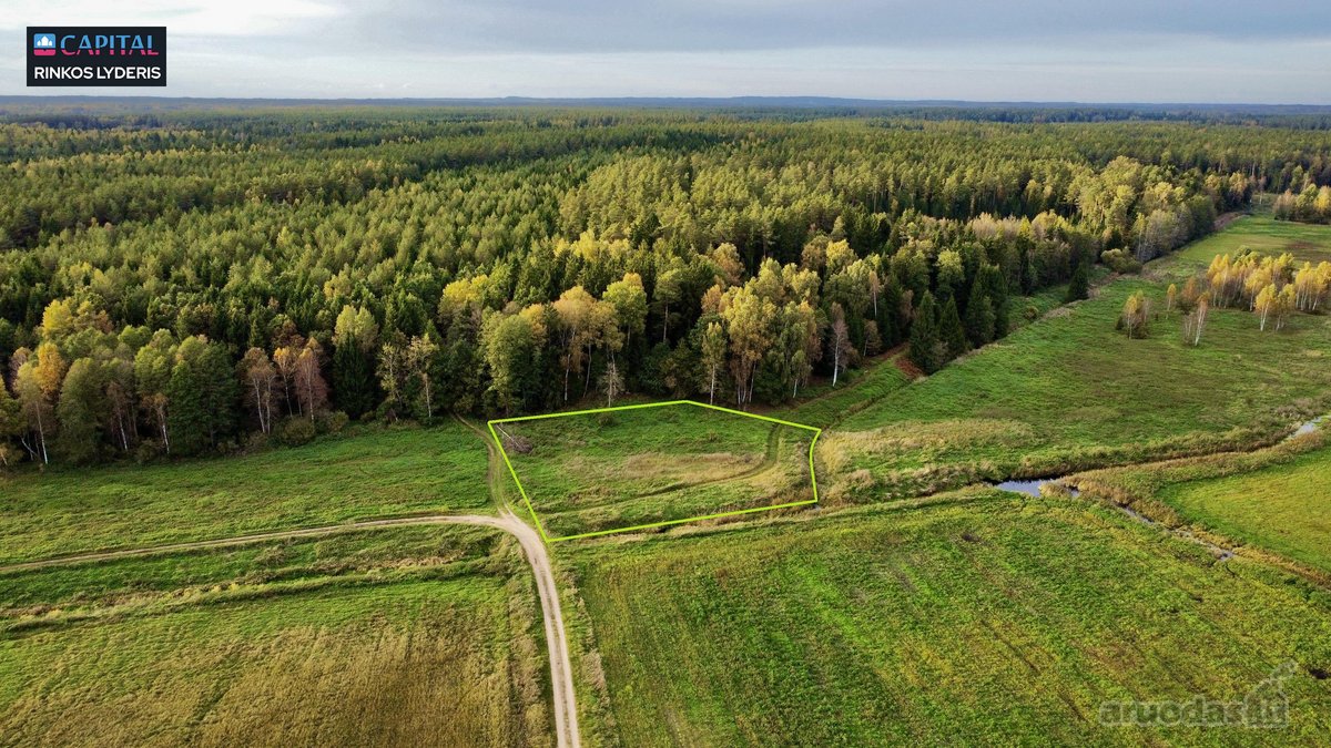 Parduodamas žemės 40 a žemės ūkio paskirties - nuotraukos Nr. 4