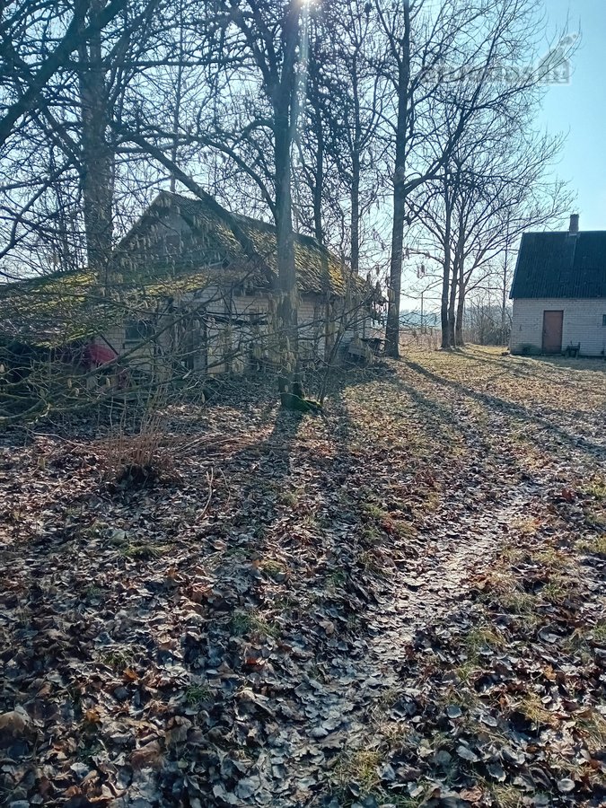 Parduodama sodyba Klingų kaime, Kupiškio - nuotraukos Nr. 4