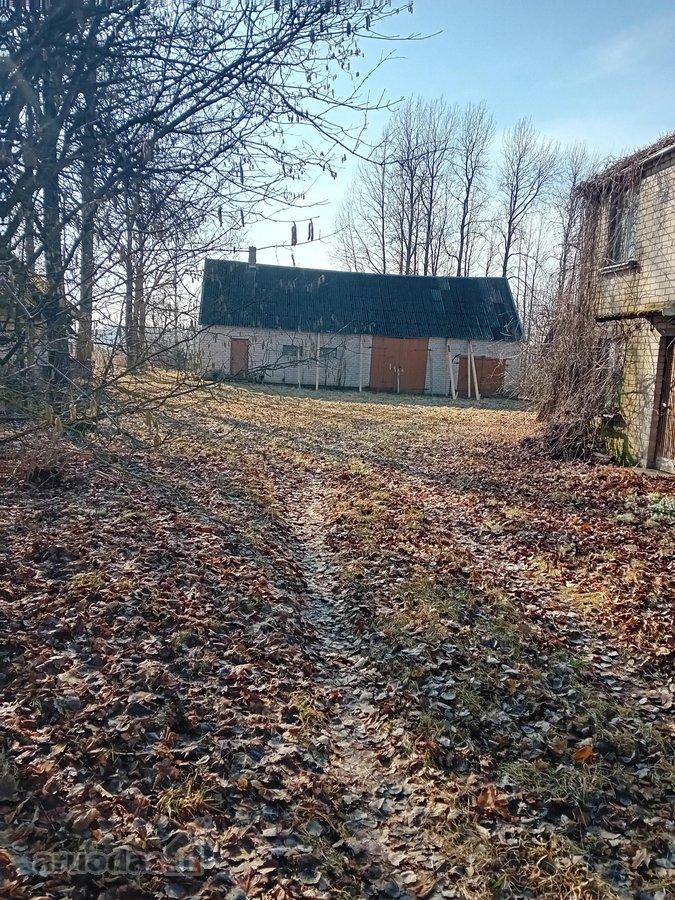 Parduodama sodyba Klingų kaime, Kupiškio - nuotraukos Nr. 5