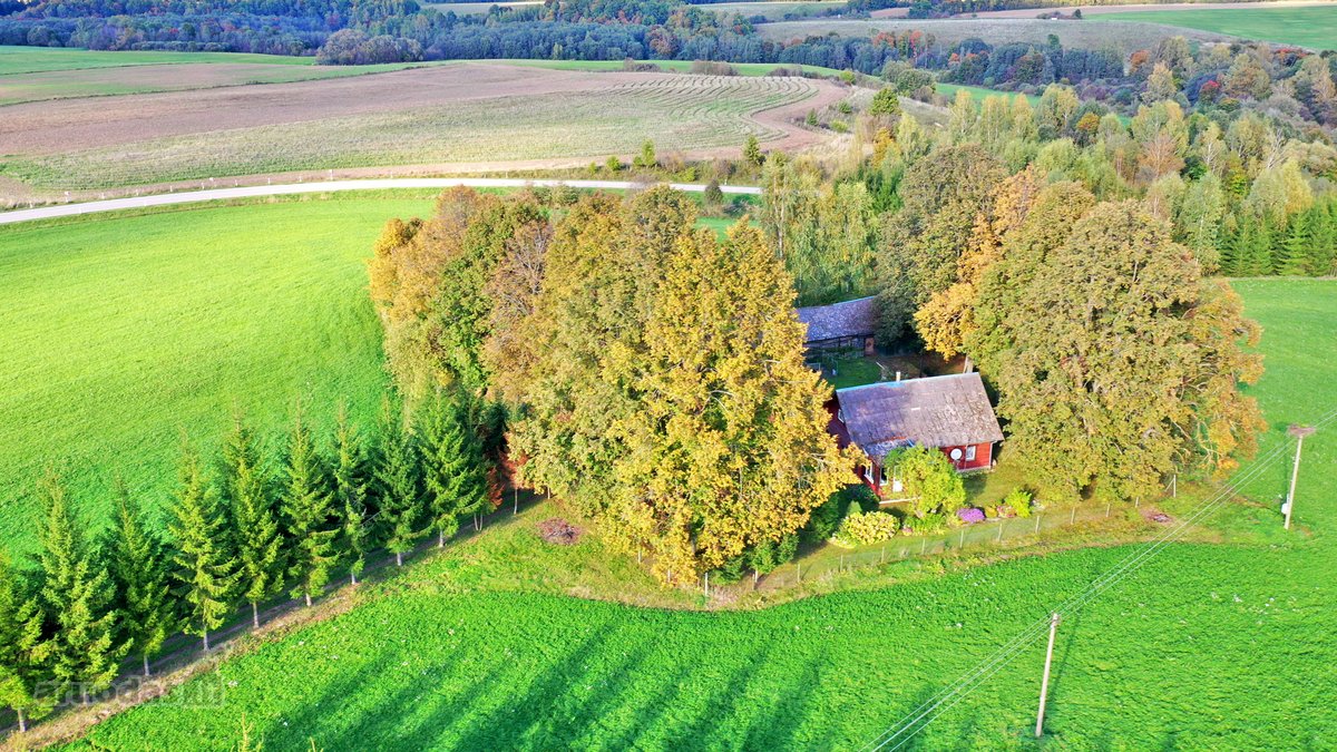 Puikus Pasiūlymas Kokybiškam Poilsiui Ar - nuotraukos Nr. 5