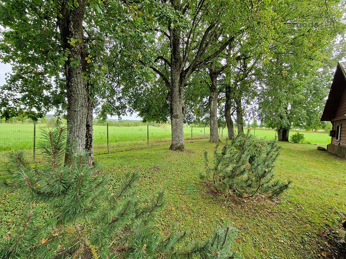 Puikus Pasiūlymas Kokybiškam Poilsiui Ar - nuotraukos Nr. 16