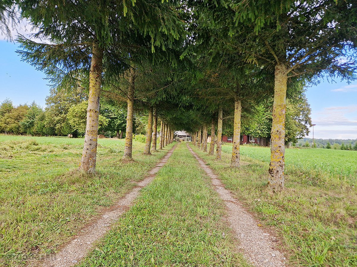 Puikus Pasiūlymas Kokybiškam Poilsiui Ar - nuotraukos Nr. 23