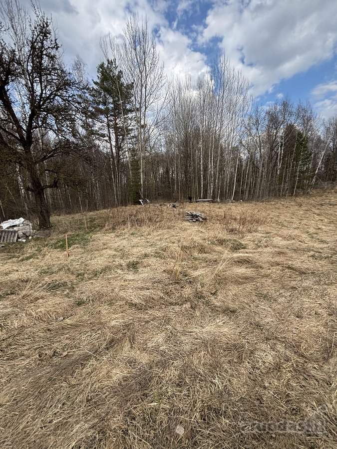 Parduodami sklypai gamtos apsuptyje – - nuotraukos Nr. 5