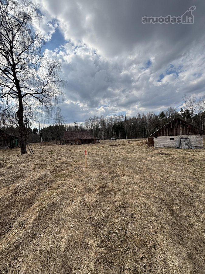 Parduodami sklypai gamtos apsuptyje – - nuotraukos Nr. 8