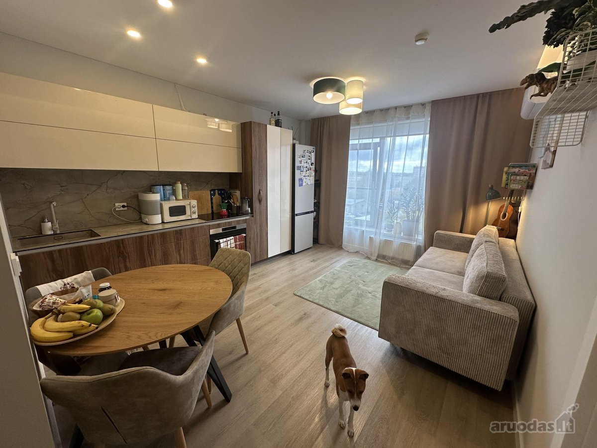 Žavūs Įrengti Apartamentai  - nuotraukos Nr. 2