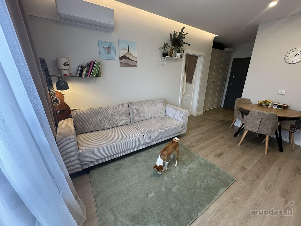 Žavūs Įrengti Apartamentai  - nuotraukos Nr. 4