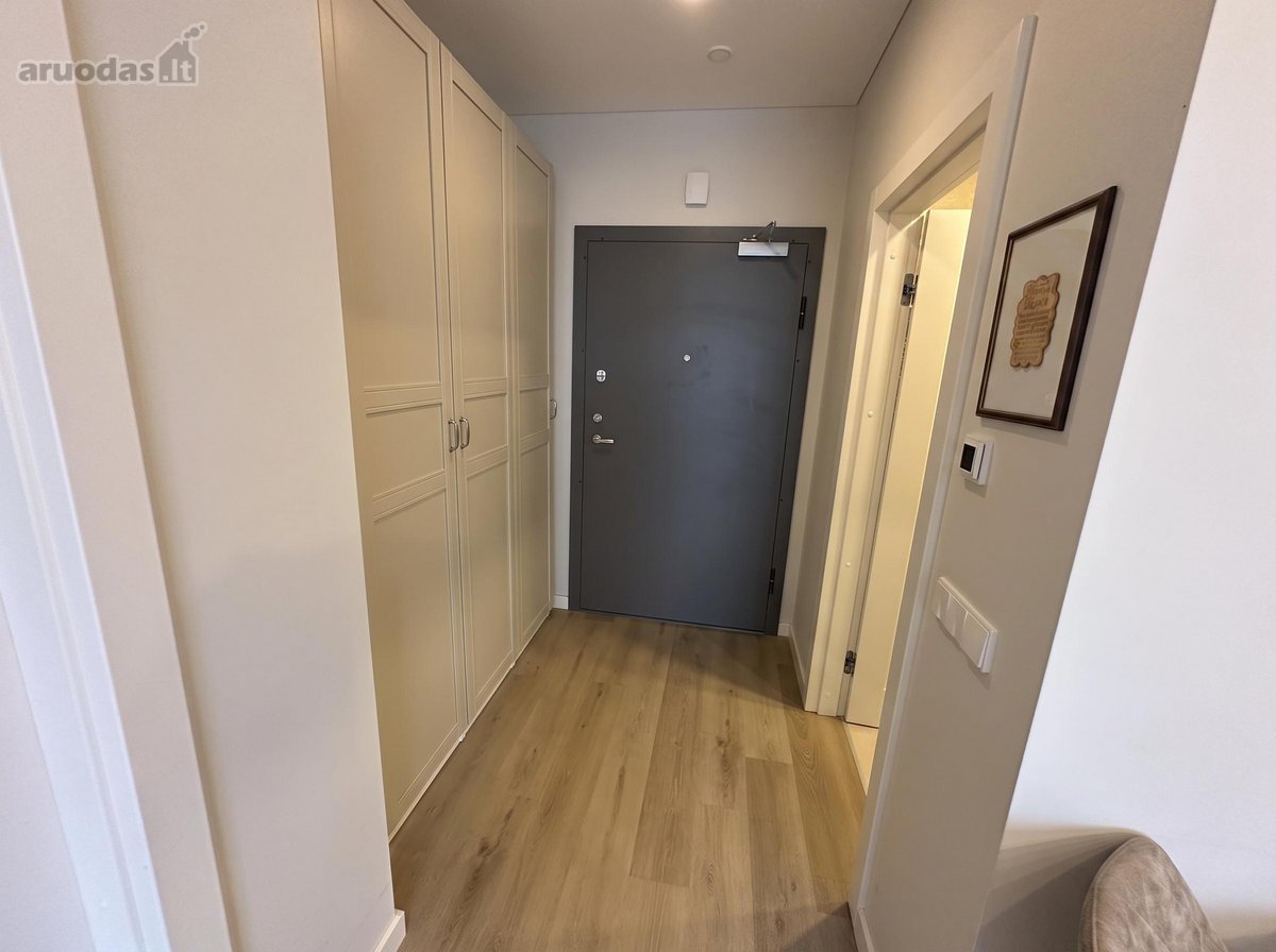 Žavūs Įrengti Apartamentai  - nuotraukos Nr. 12