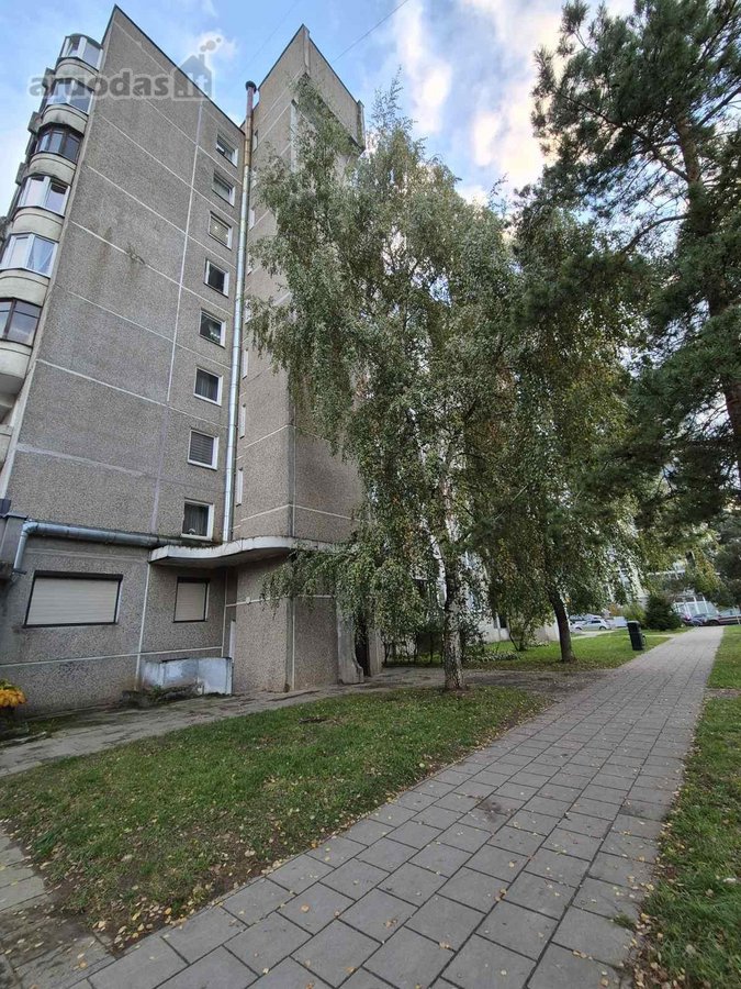 Nuomojamas jaukus 2 kambarių butas Pilaitėje, - nuotraukos Nr. 16
