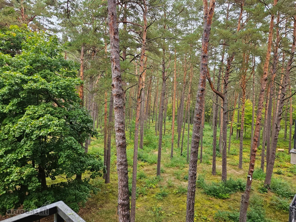 Parduodami Išskirtiniai Apartamentai - nuotraukos Nr. 17
