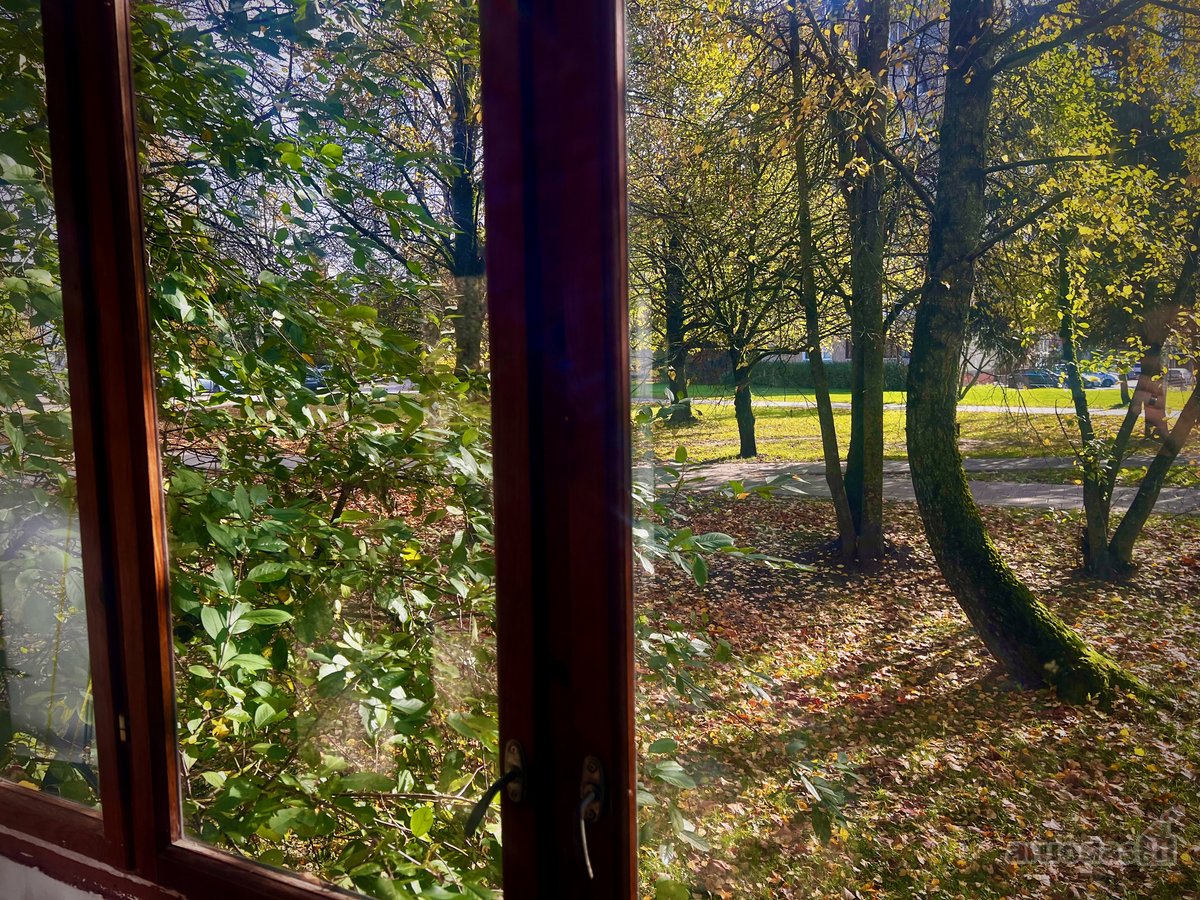 Šviesus 1 Kambario Butas Šeškinėje  Pietinė - nuotraukos Nr. 5
