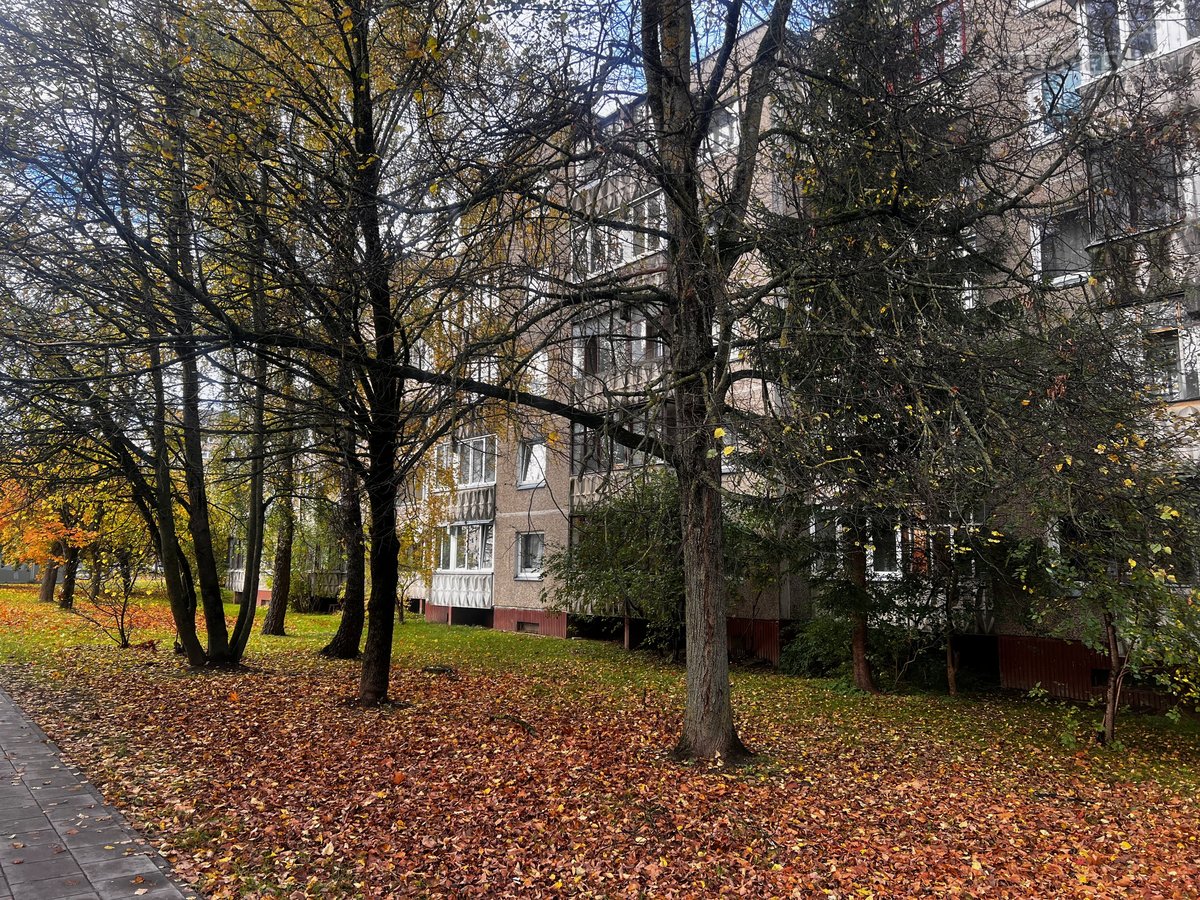 Šviesus 1 Kambario Butas Šeškinėje  Pietinė - nuotraukos Nr. 14