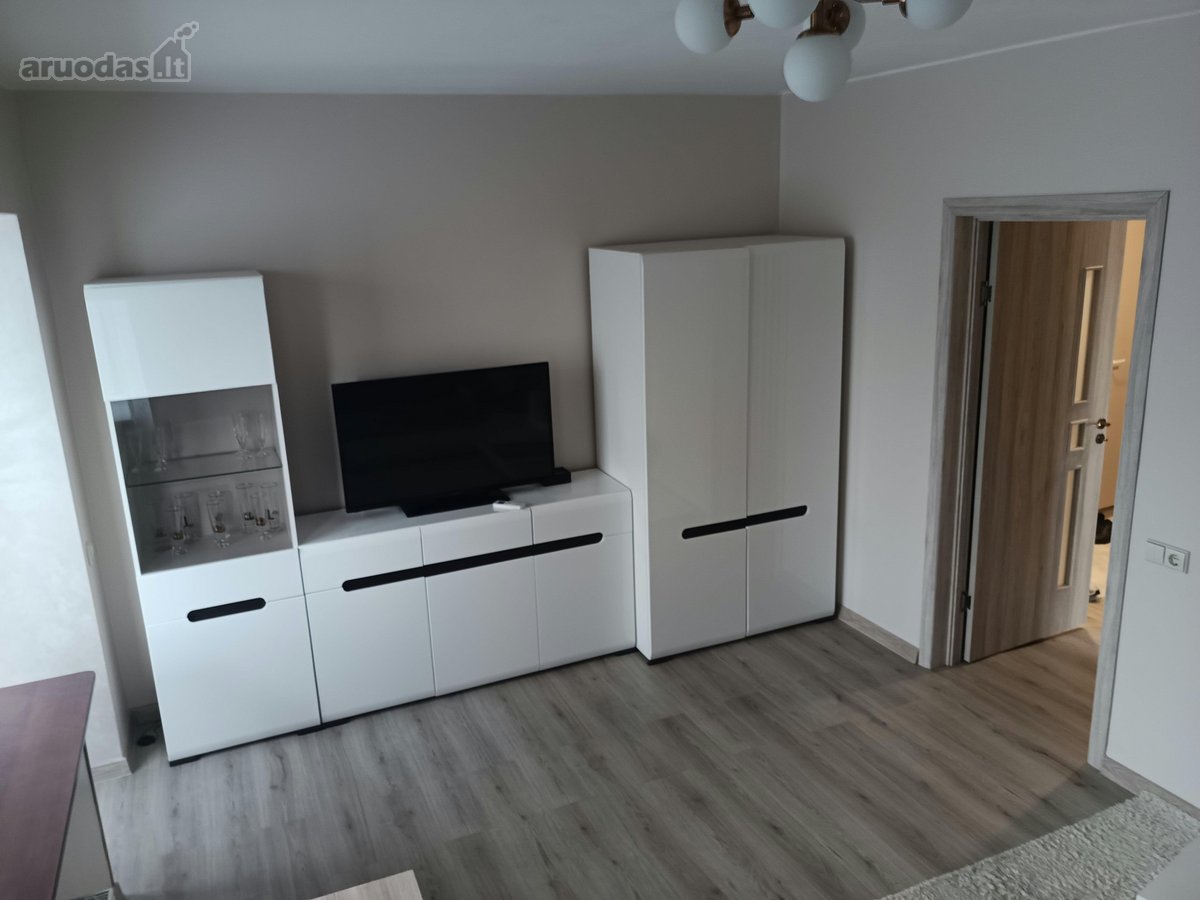 Išnuomojamas tvarkingas, po remonto - nuotraukos Nr. 2