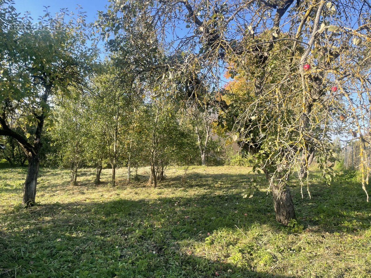 Parduodama Sodyba Su 15 Arų Sklypu Taujėnuose  - nuotraukos Nr. 34