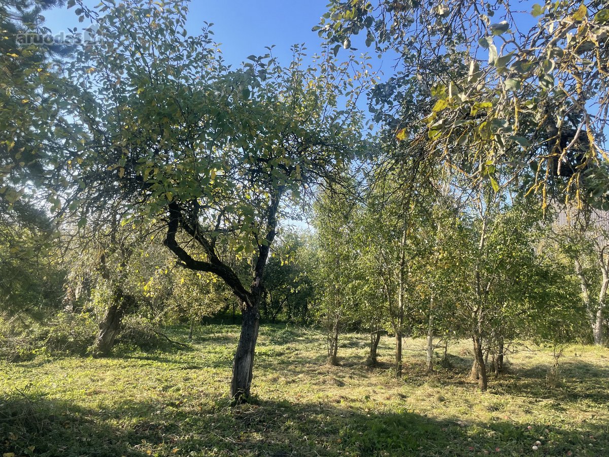 Parduodama Sodyba Su 15 Arų Sklypu Taujėnuose  - nuotraukos Nr. 16