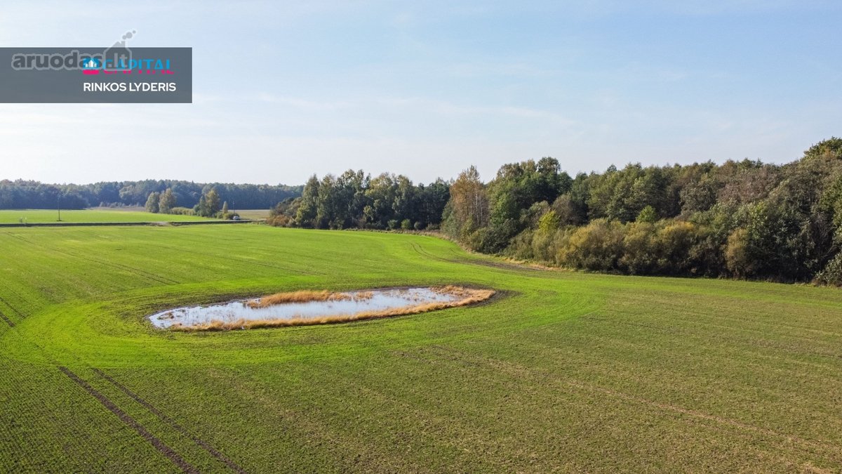 Parduodami Išsskirtiniai Sklypai Ant Siesikų - nuotraukos Nr. 13