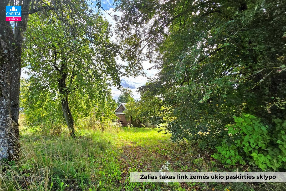 Čirkų K., Širvintų R., Parduodama Jauki - nuotraukos Nr. 25