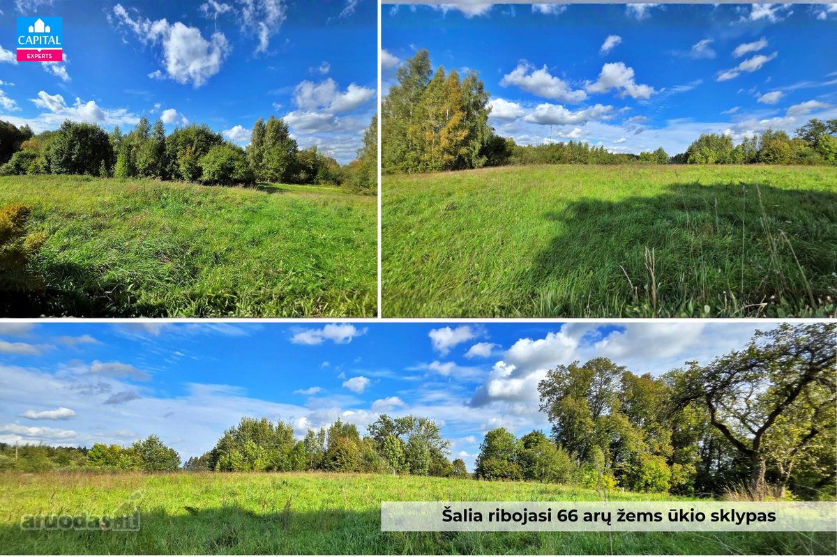 Čirkų K., Širvintų R., Parduodama Jauki - nuotraukos Nr. 26