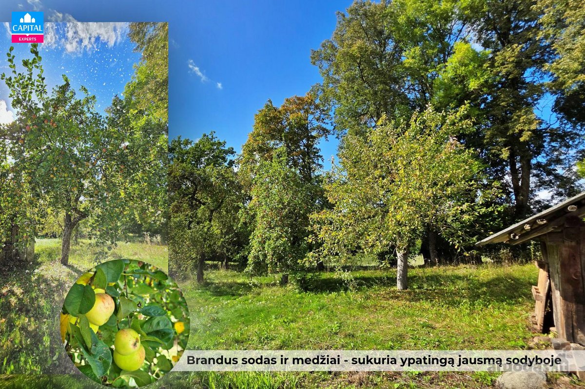 Čirkų K., Širvintų R., Parduodama Jauki - nuotraukos Nr. 4