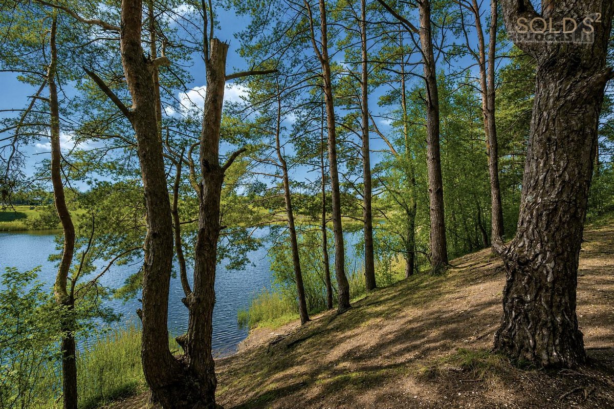 Kviečiame Į Atvirus Namus Lapkričio 4 D. - nuotraukos Nr. 27
