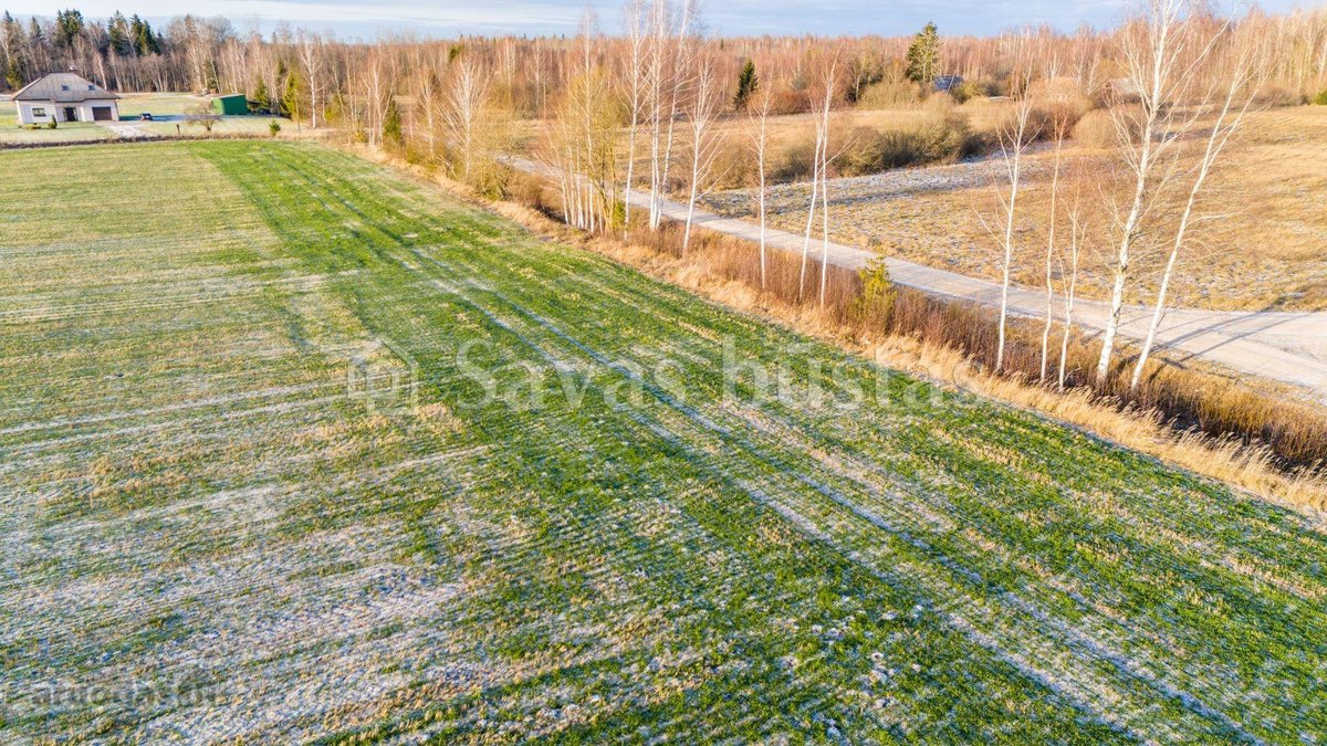 Parduodamas 43,5 arų žemės ūkio paskirties - nuotraukos Nr. 11