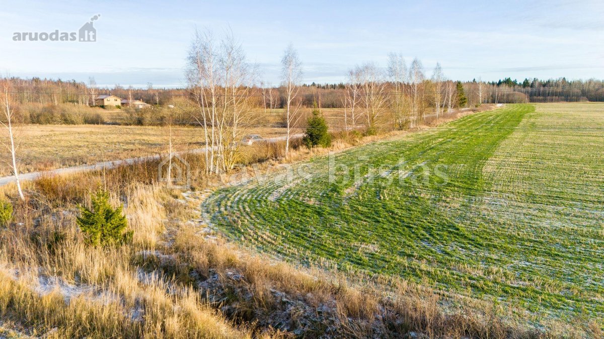 Parduodamas 43,5 arų žemės ūkio paskirties - nuotraukos Nr. 12