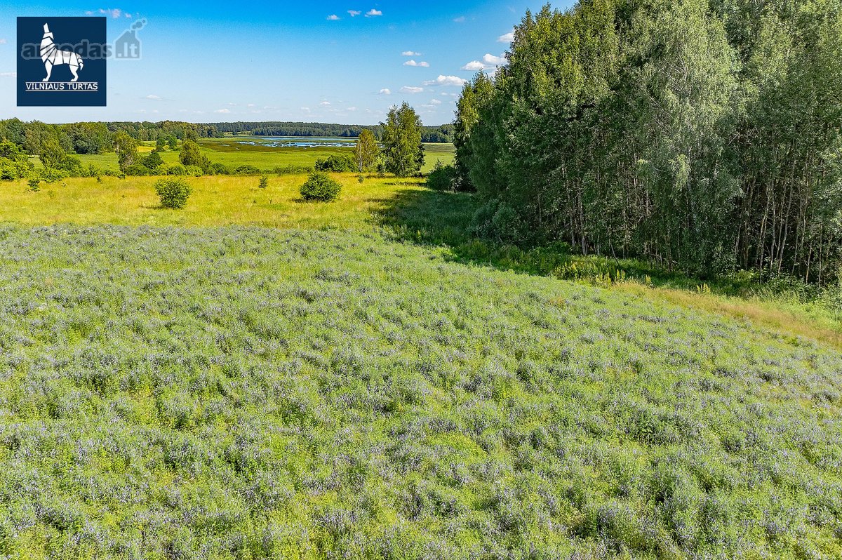 Norime jums pasiūlyti labai gražius sklypus - nuotraukos Nr. 8