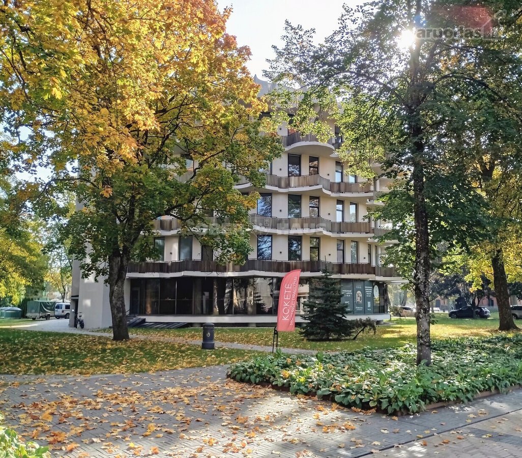 Gyventi ir poilsiauti Druskininkuose, reiškia - nuotraukos Nr. 17