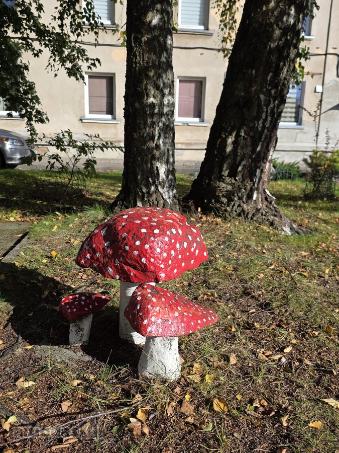 Autonominis, Reguliuojamas Šildymas Name - nuotraukos Nr. 24