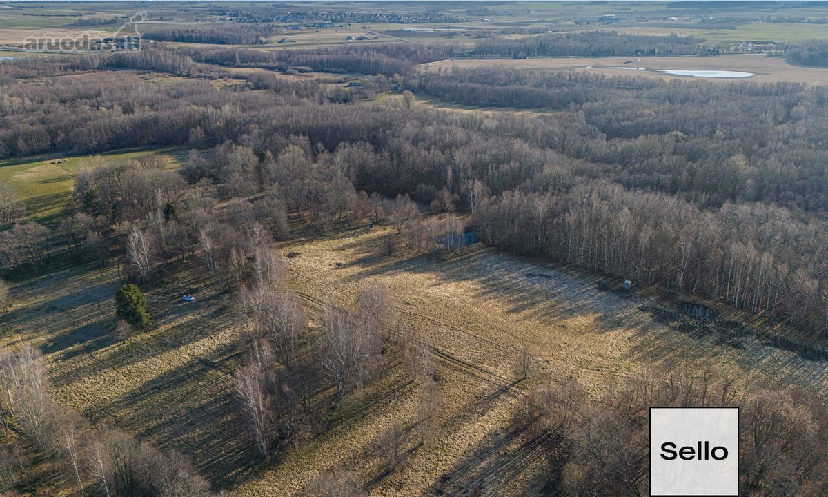  – Nt ekspertai be procentų - nuotraukos Nr. 10