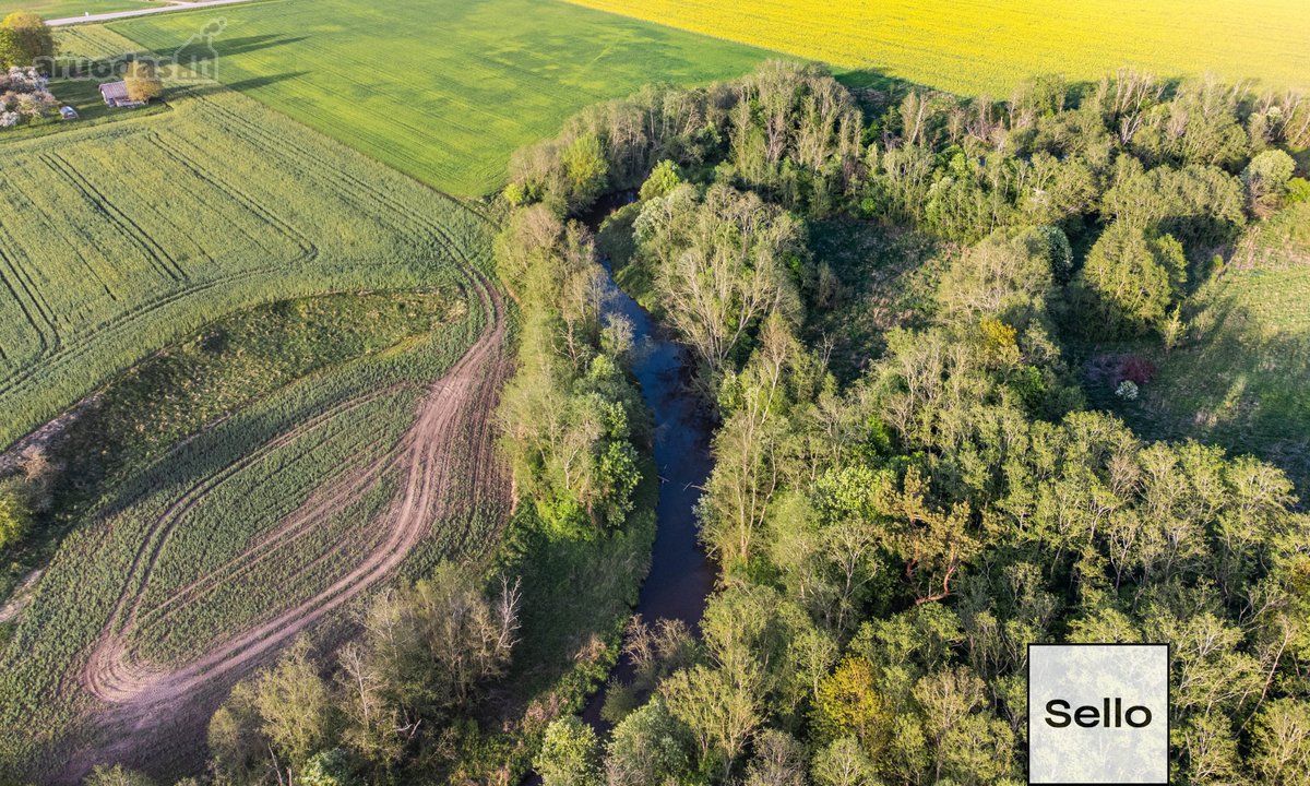  – Nt ekspertai be procentų - nuotraukos Nr. 44