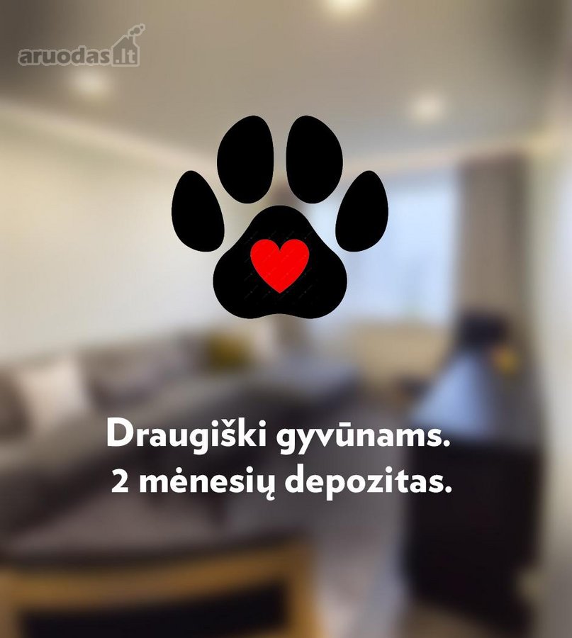 Nuomojamas tika po perdažymo ir generalinio - nuotraukos Nr. 20