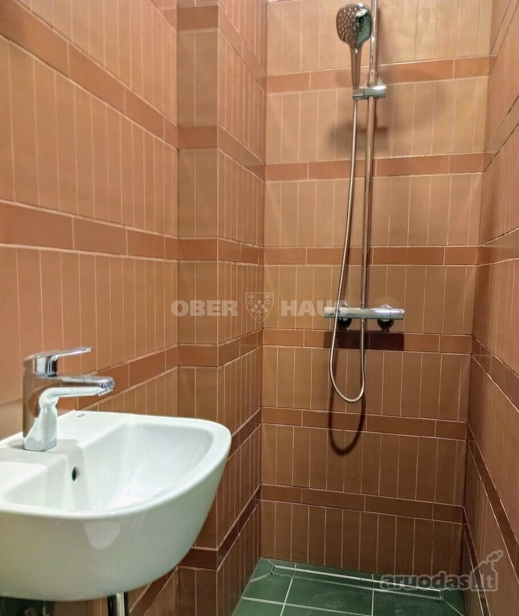 Gyventi ir poilsiauti Druskininkuose, reiškia - nuotraukos Nr. 8
