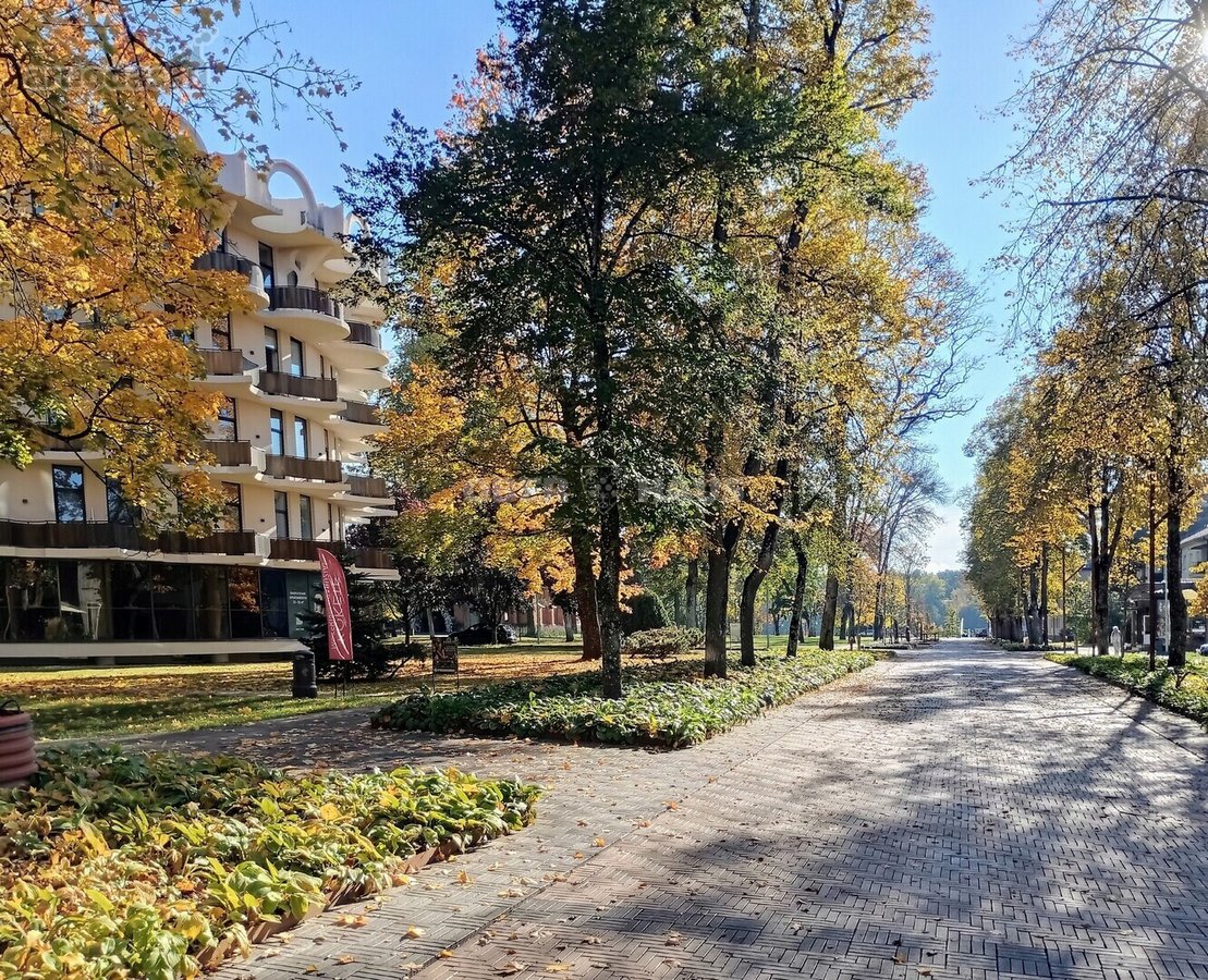 Gyventi ir poilsiauti Druskininkuose, reiškia - nuotraukos Nr. 20